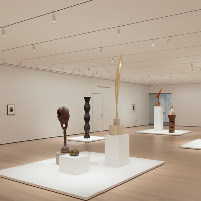 آن هایی که می گویند آثار من انتزاعی هستند، ابلهند...