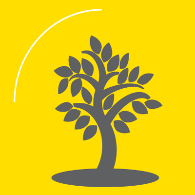 طوبای زرین در بخش هنرهای تجسمی با معرفی اسامی برگزیدگان به کار خود پایان داد