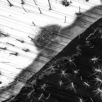 برترین تصاویر رقابت جهانی عکاس منظره سال